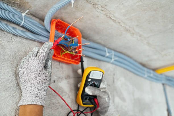 Best Electric Panel Repair  in Mount Healthy Heights, OH